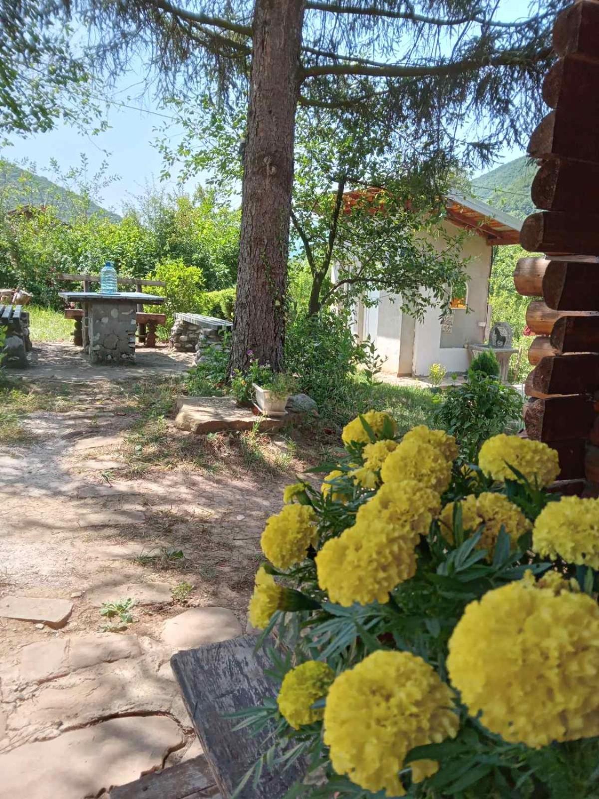 Piramida Mjeseca Villa Високо Екстериор снимка